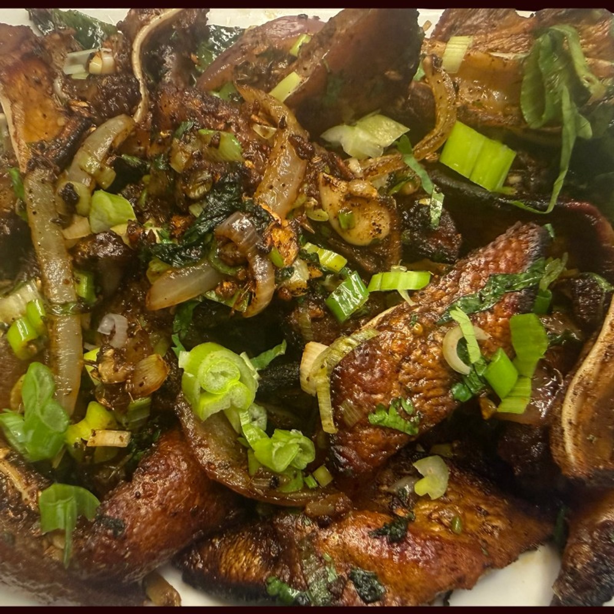 Sungur Ko Kaan