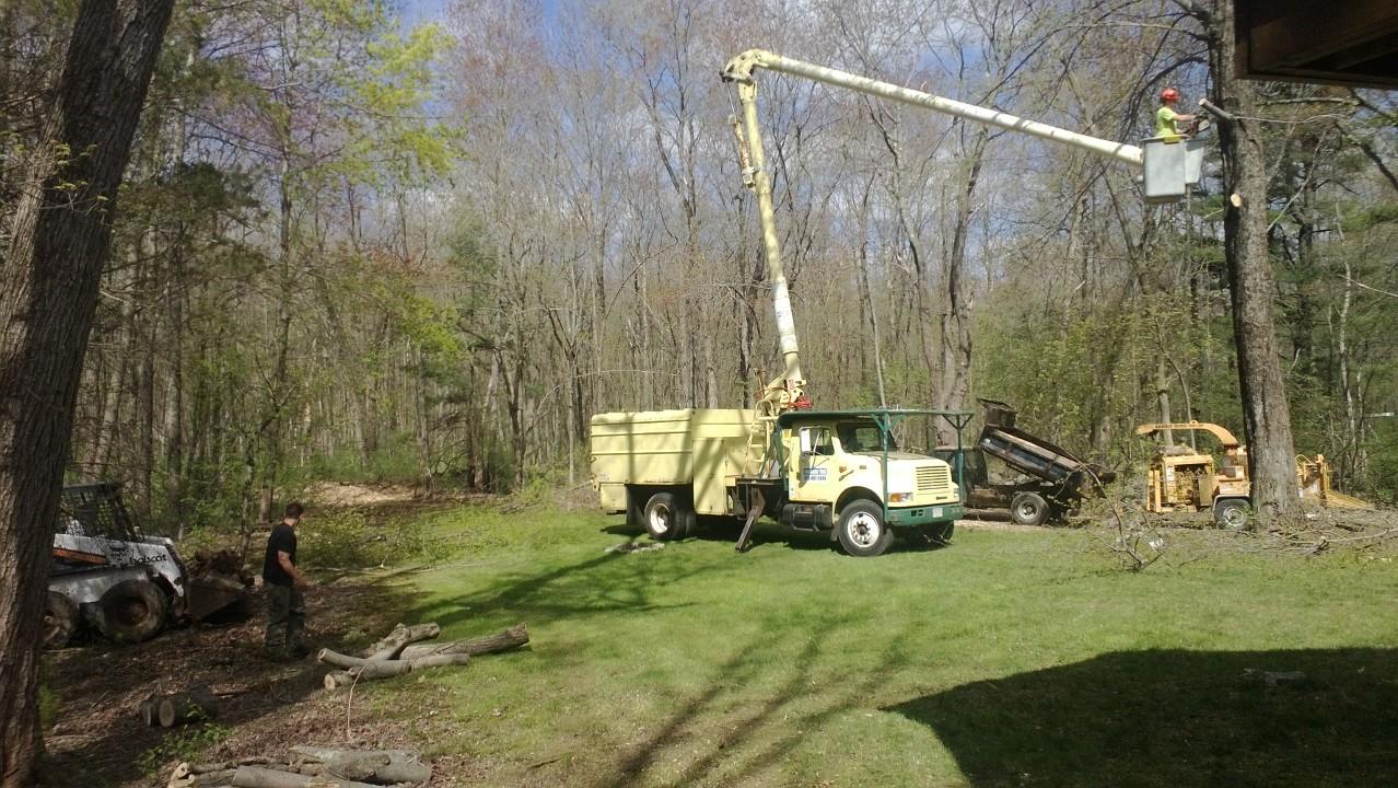 American Tree &amp; Landscaping Logo