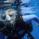 Living Ocean Scuba