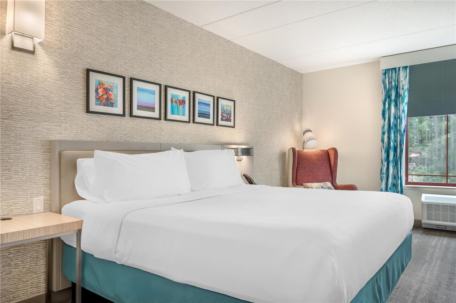 Hilton Garden Inn Wisconsin Dells Image