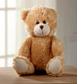 Hugs for You Plush Bear