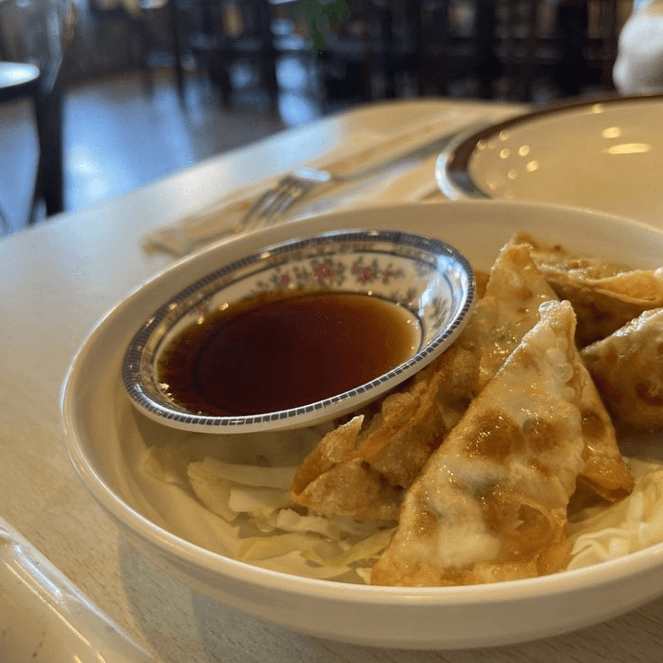 Deep Fried Veggie Potstickers