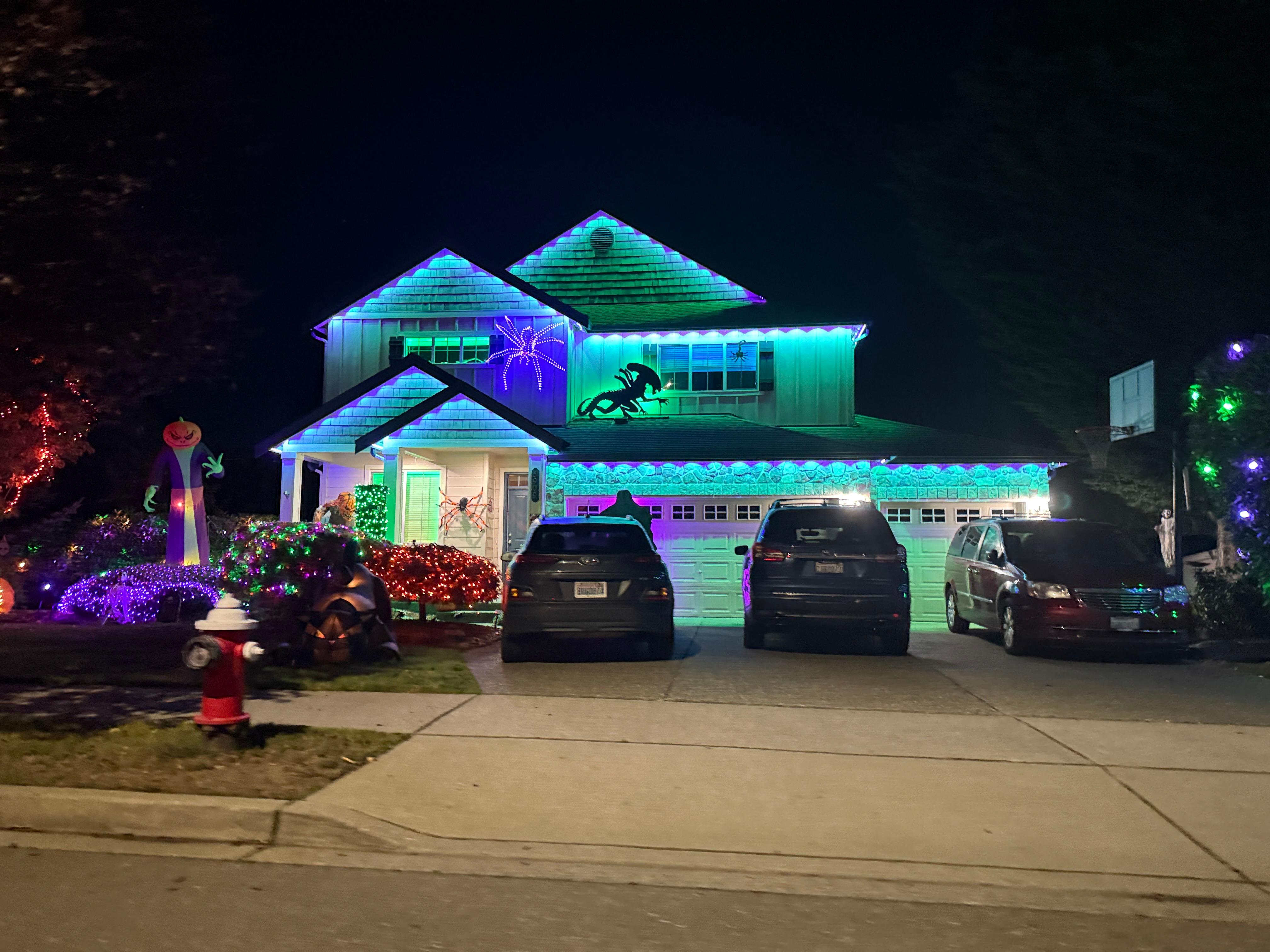 Everbeam Lighting - Permanent holiday Lighting Image