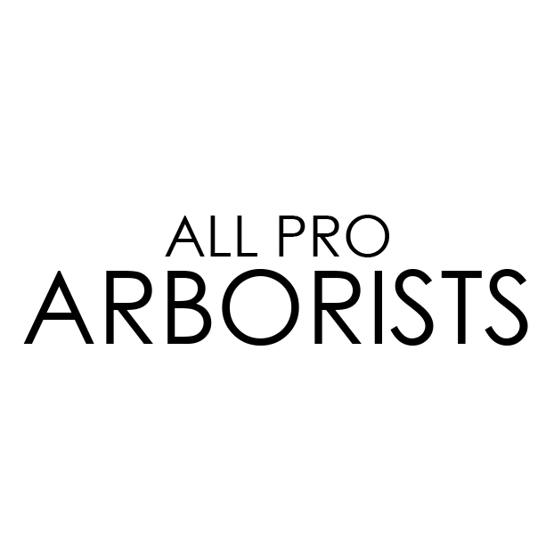 All Pro Arborists Logo