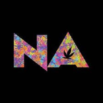 Natural Alternatives for Healt Logo