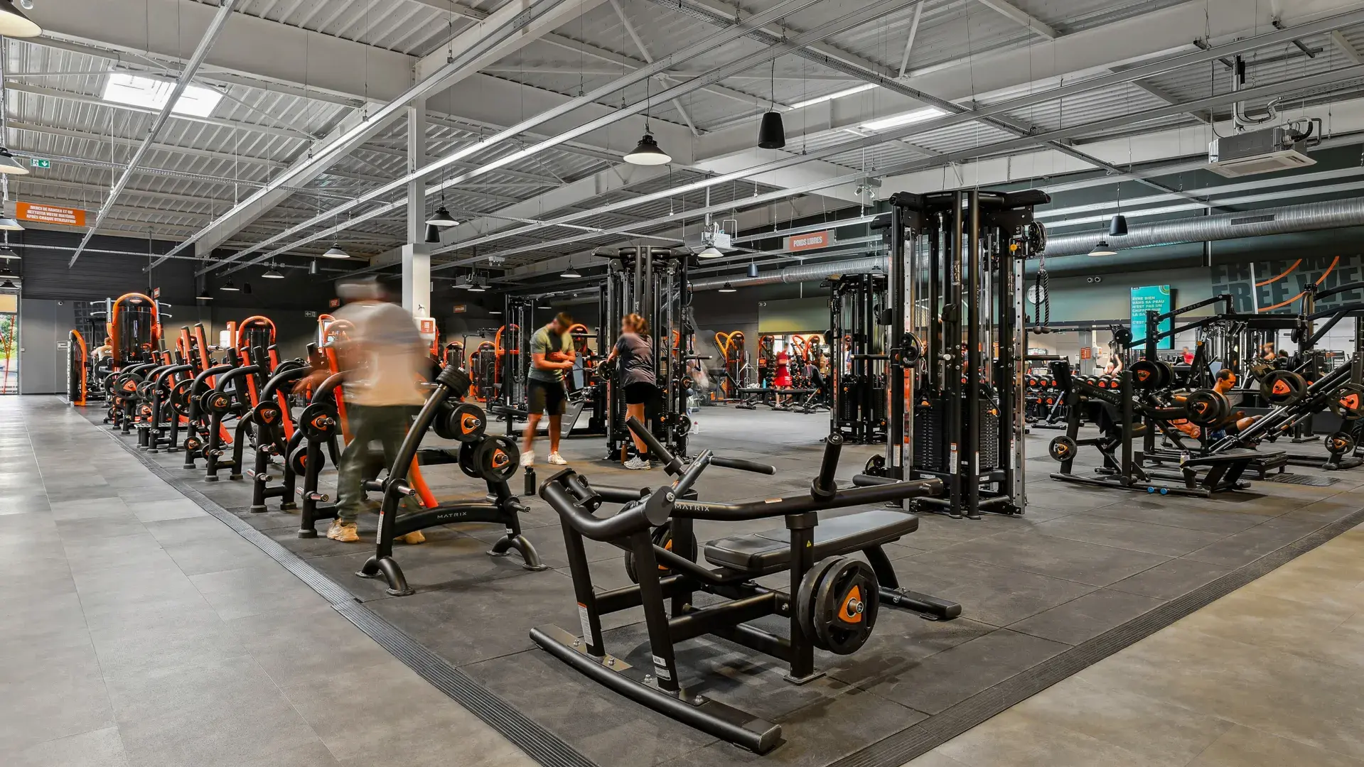 Miniature de la galerie