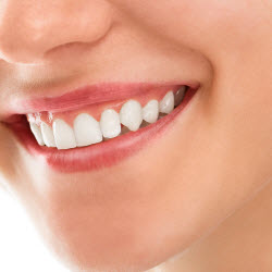 John M Moffat DDS