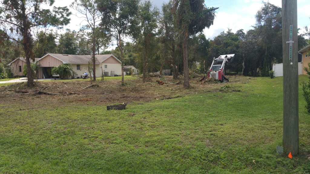 MX Services Inc Logo