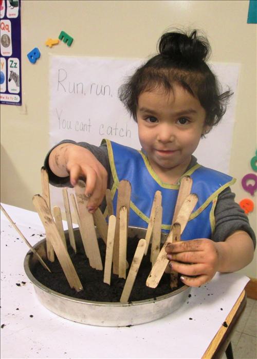 Our preschool students demonstrate their ability to count using a variety of materials.