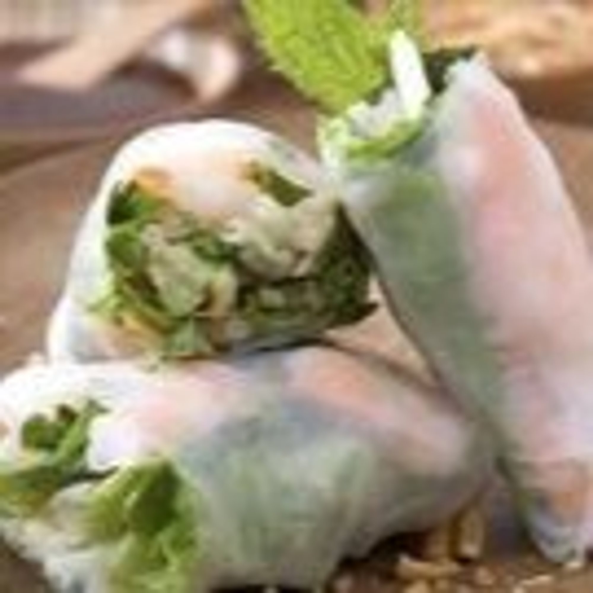 Shrimp Spring Roll