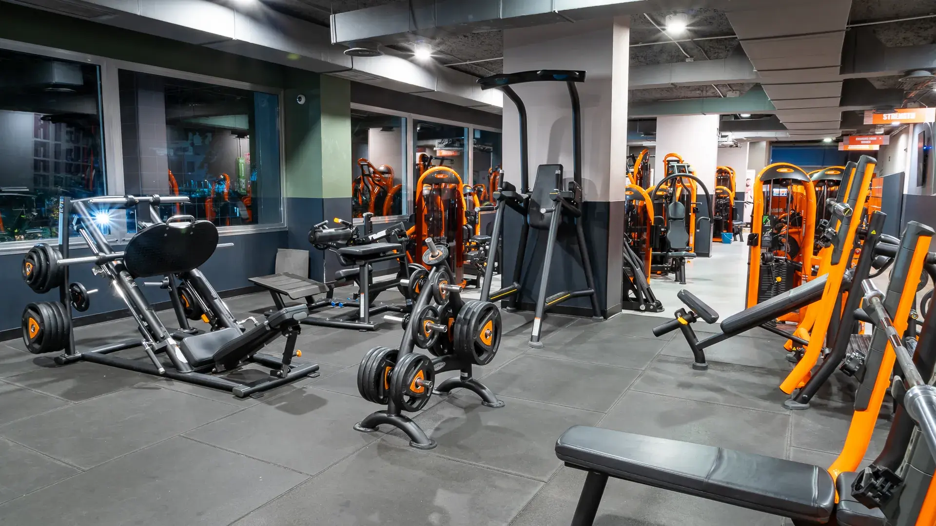 Galería de imágenes