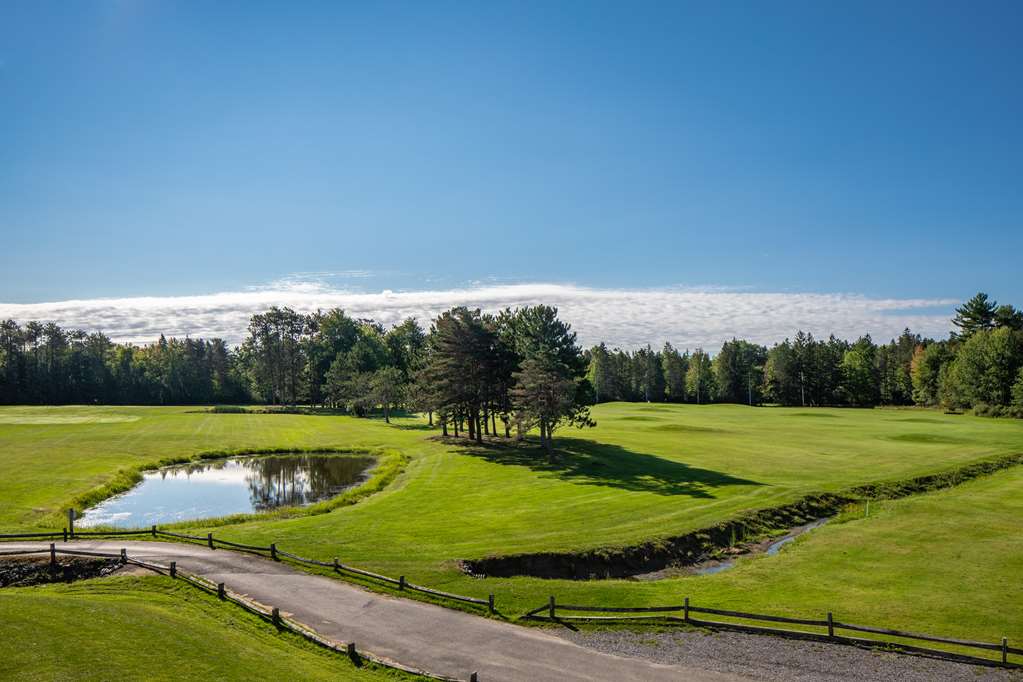 Best Western University Inn Image