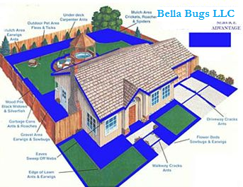 Bella Bugs Pest Control-our yard service full pest control services