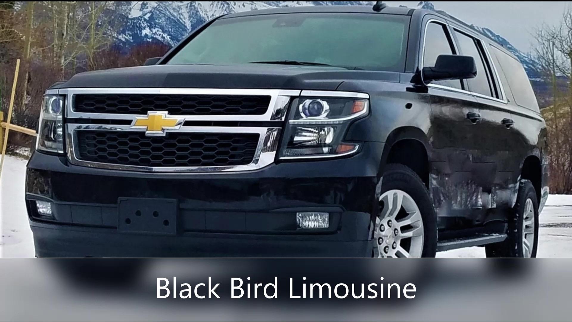 Black Bird Limousine Photo