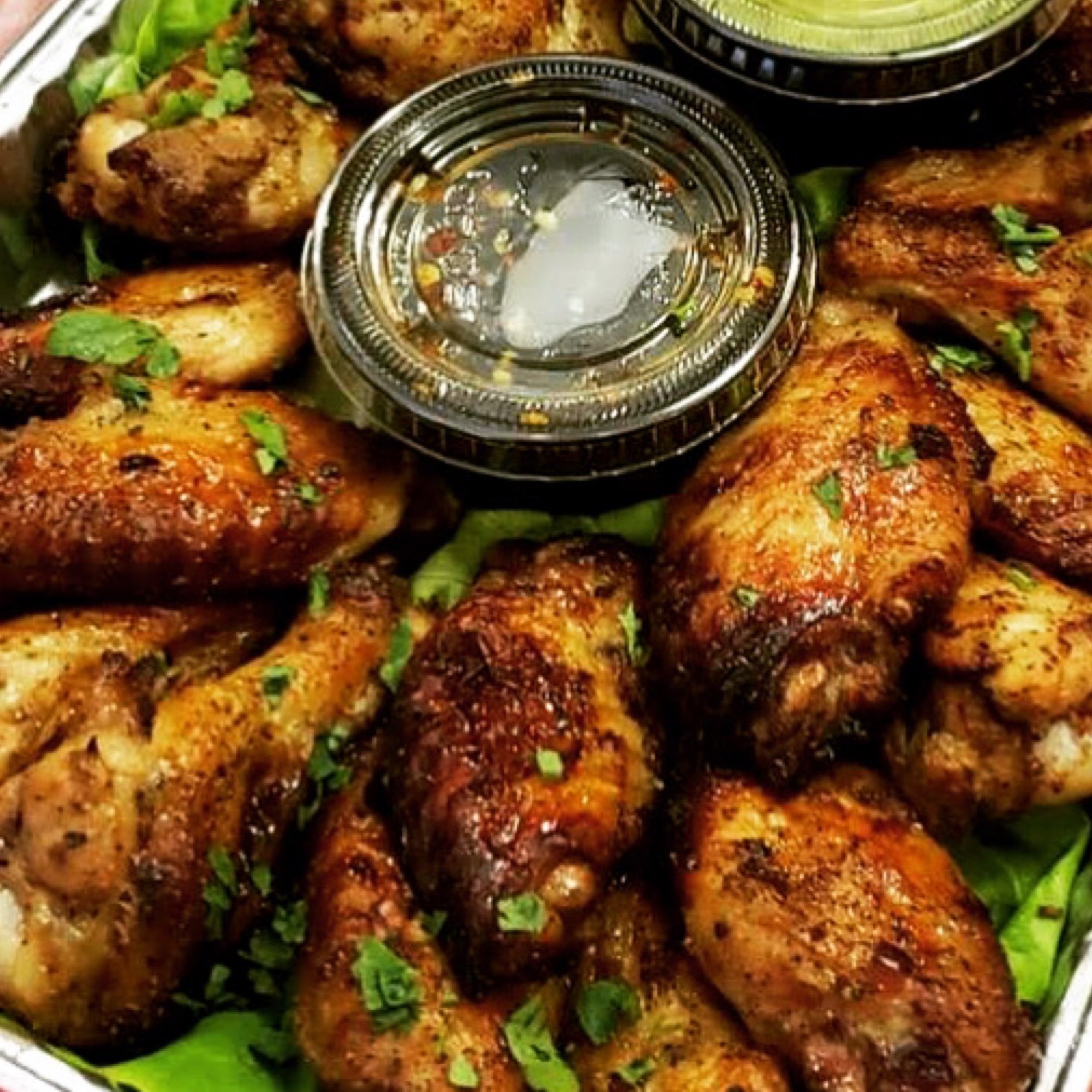 Venezuela Wings