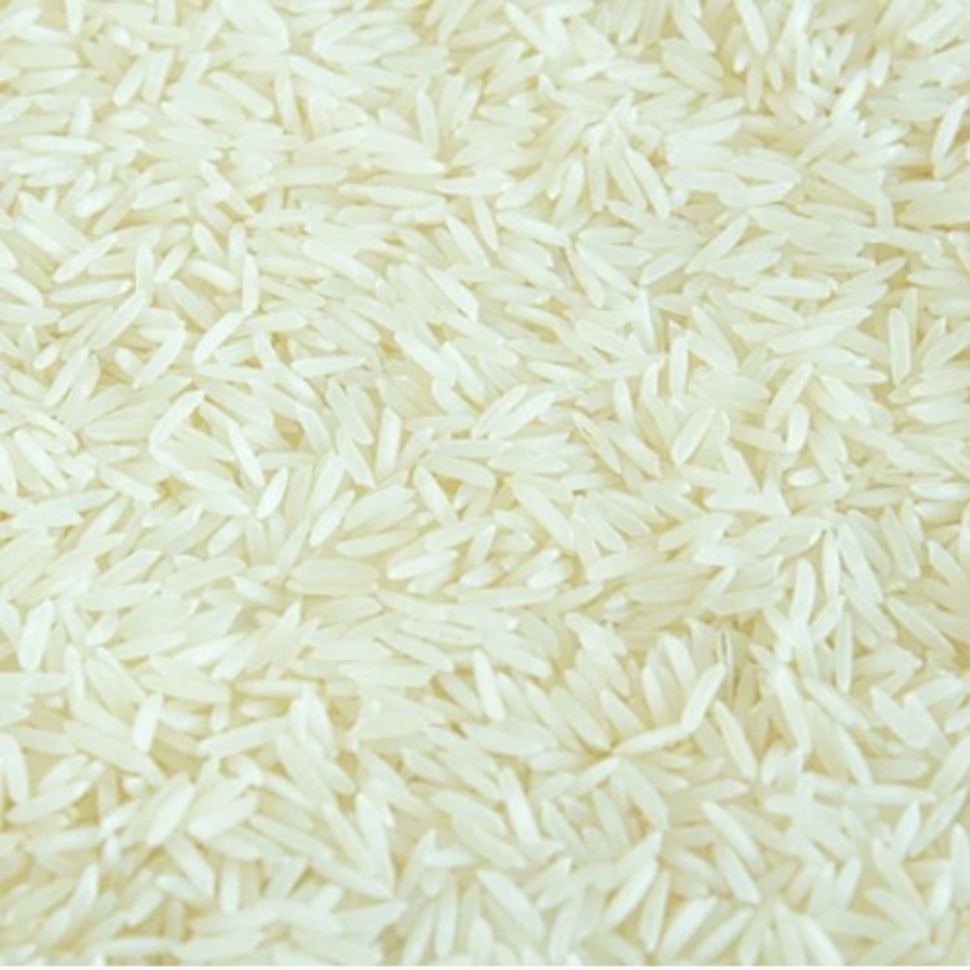 Xtra Rice