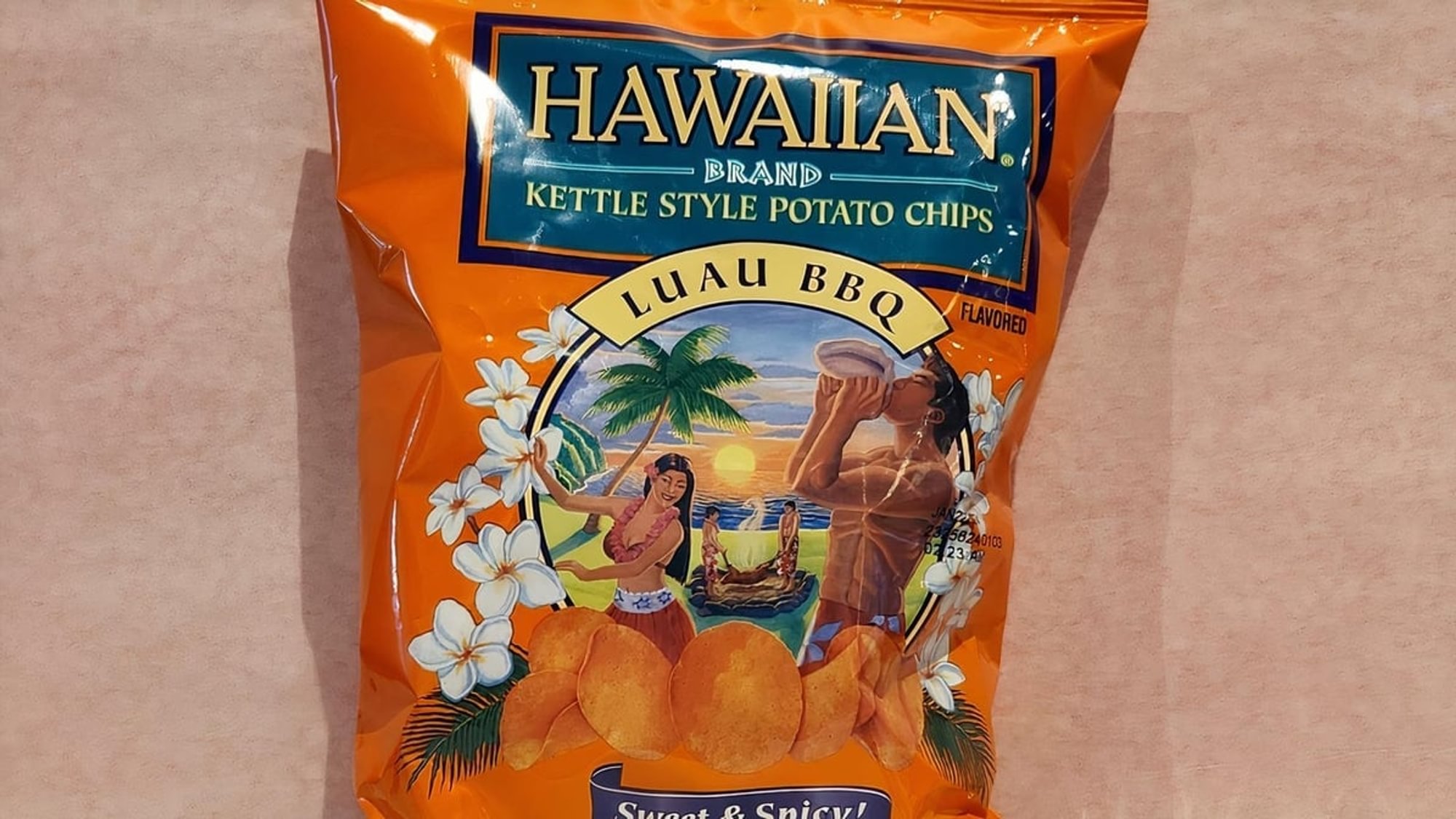 Hawaiian Luau BBQ