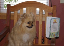 North Creek Pet Hospital Image