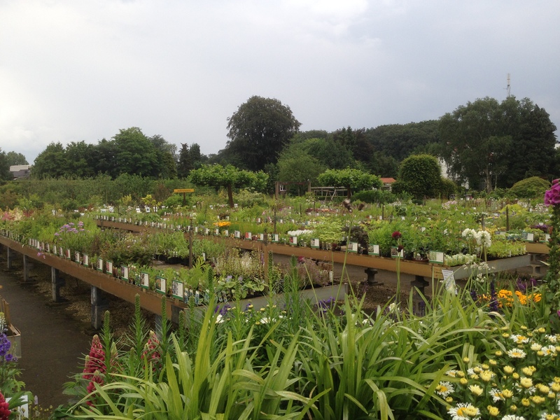 Foto's Abbing Tuincentrum/Tuinaanleg