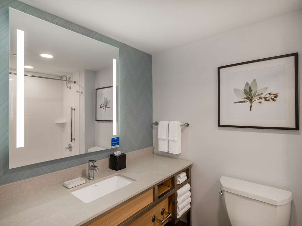 Hilton Garden Inn Toledo Downtown Image