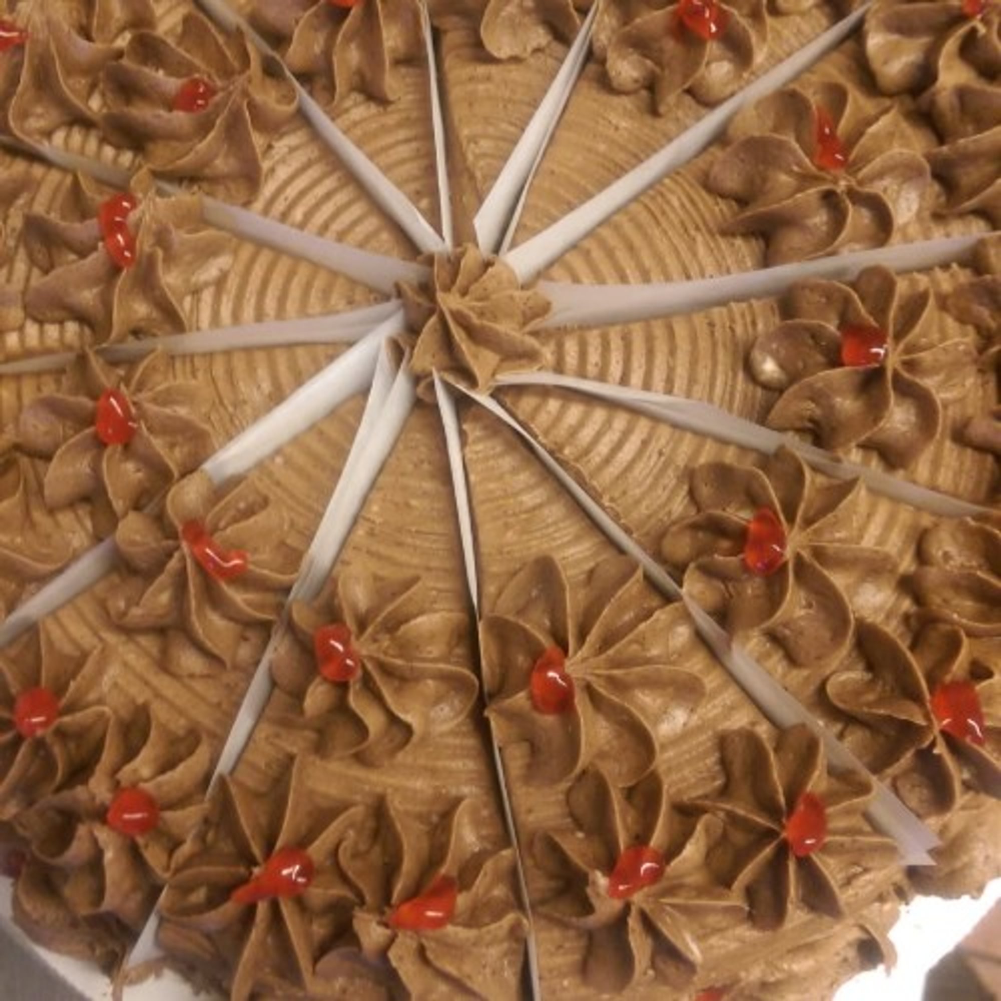 Chocolate Cheesecake