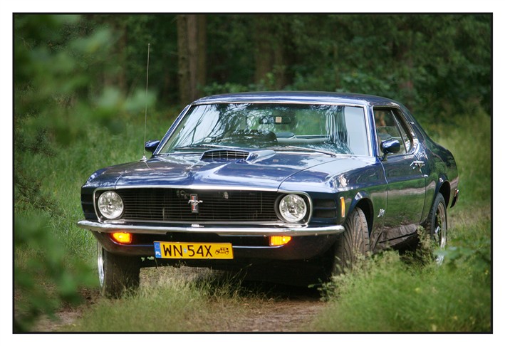 Images Stajnia Mustangów