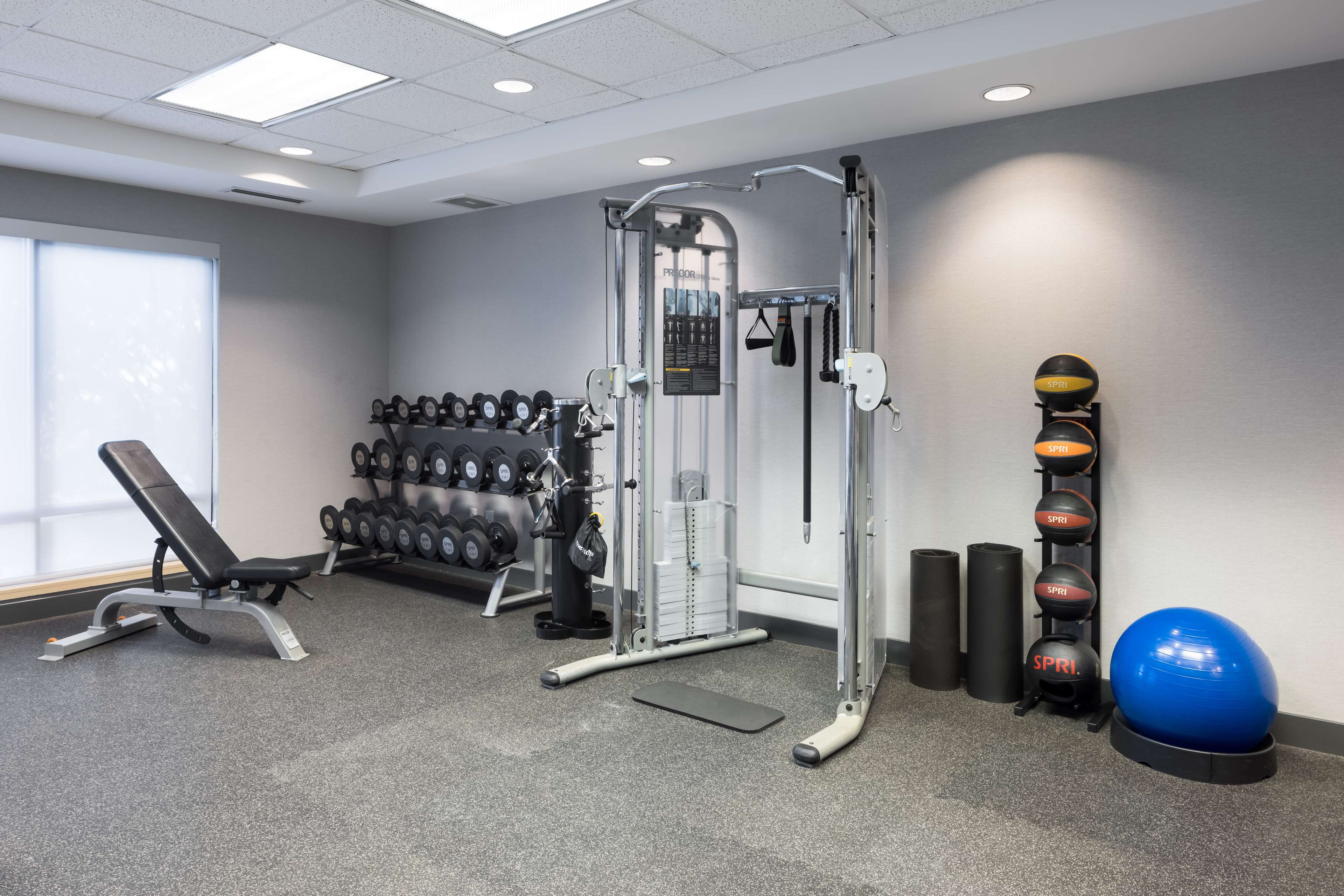 Health club  fitness center  gym