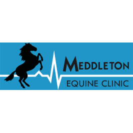 Meddleton Equine Clinic Photo
