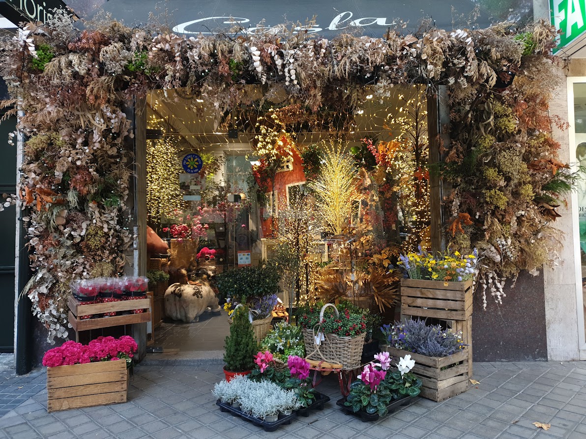 Galería en miniatura