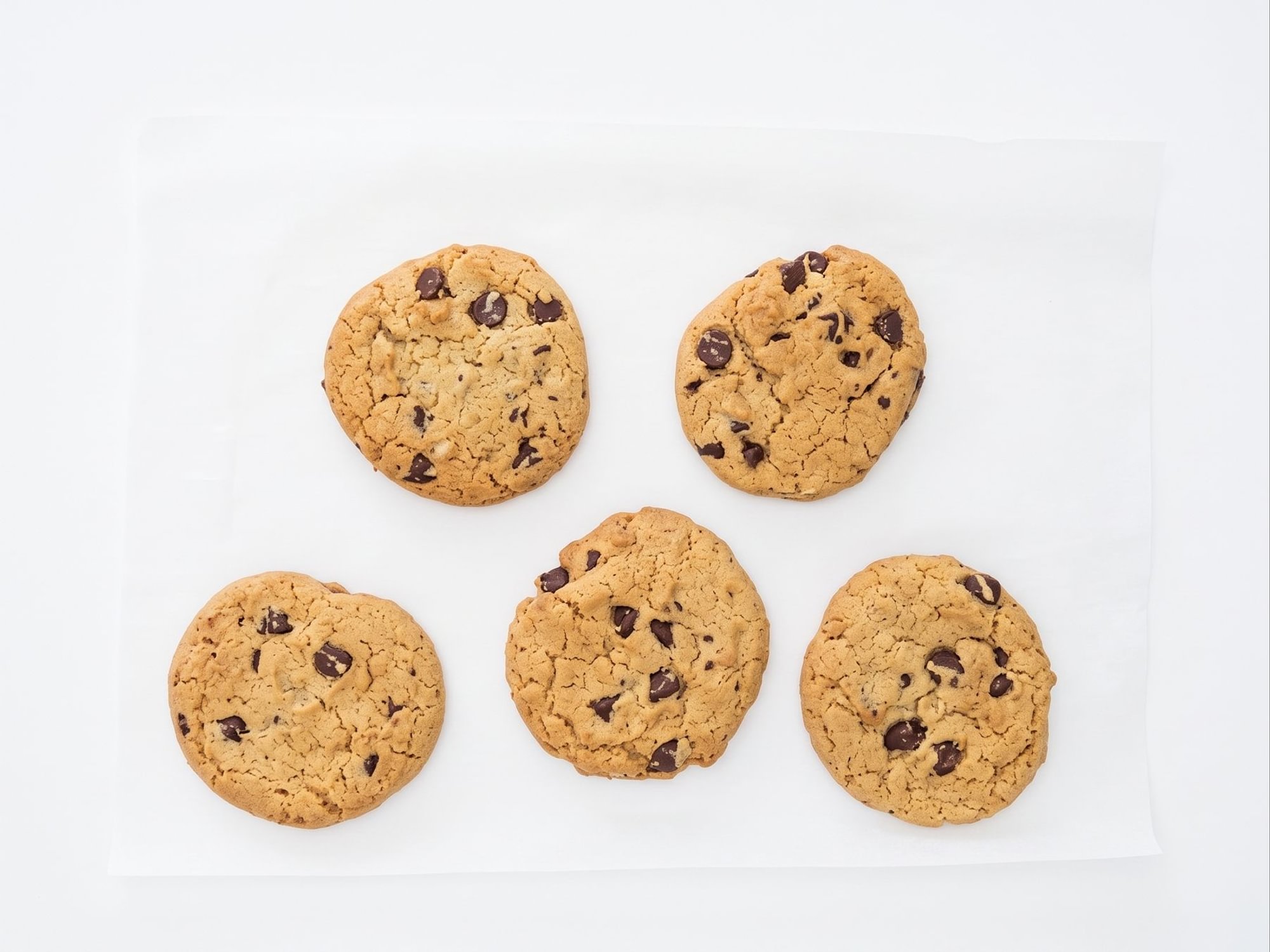 Chocolate Chip Cookie