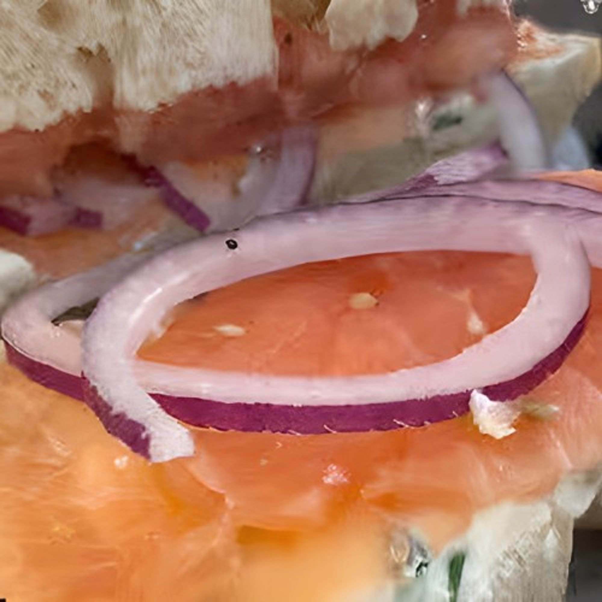 Genoa Salami Sandwich