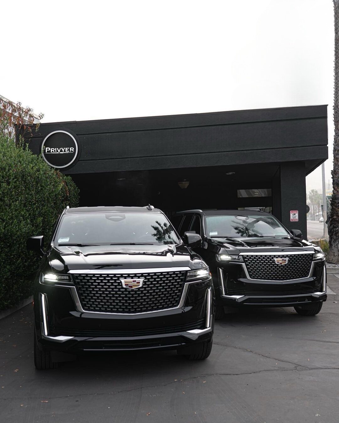 Privyer Chauffeur Service Image