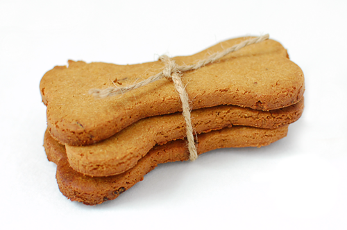 Kritter Kare, LLC Logo