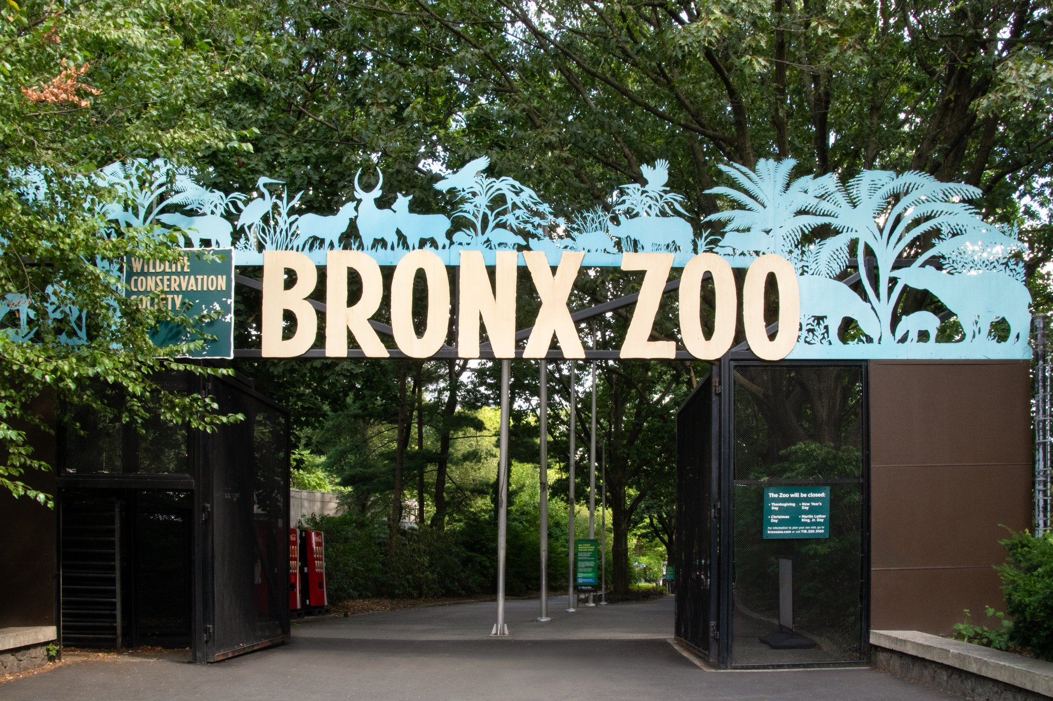Holiday Inn Express & Suites Bronx - Zoo Area by IHG Image