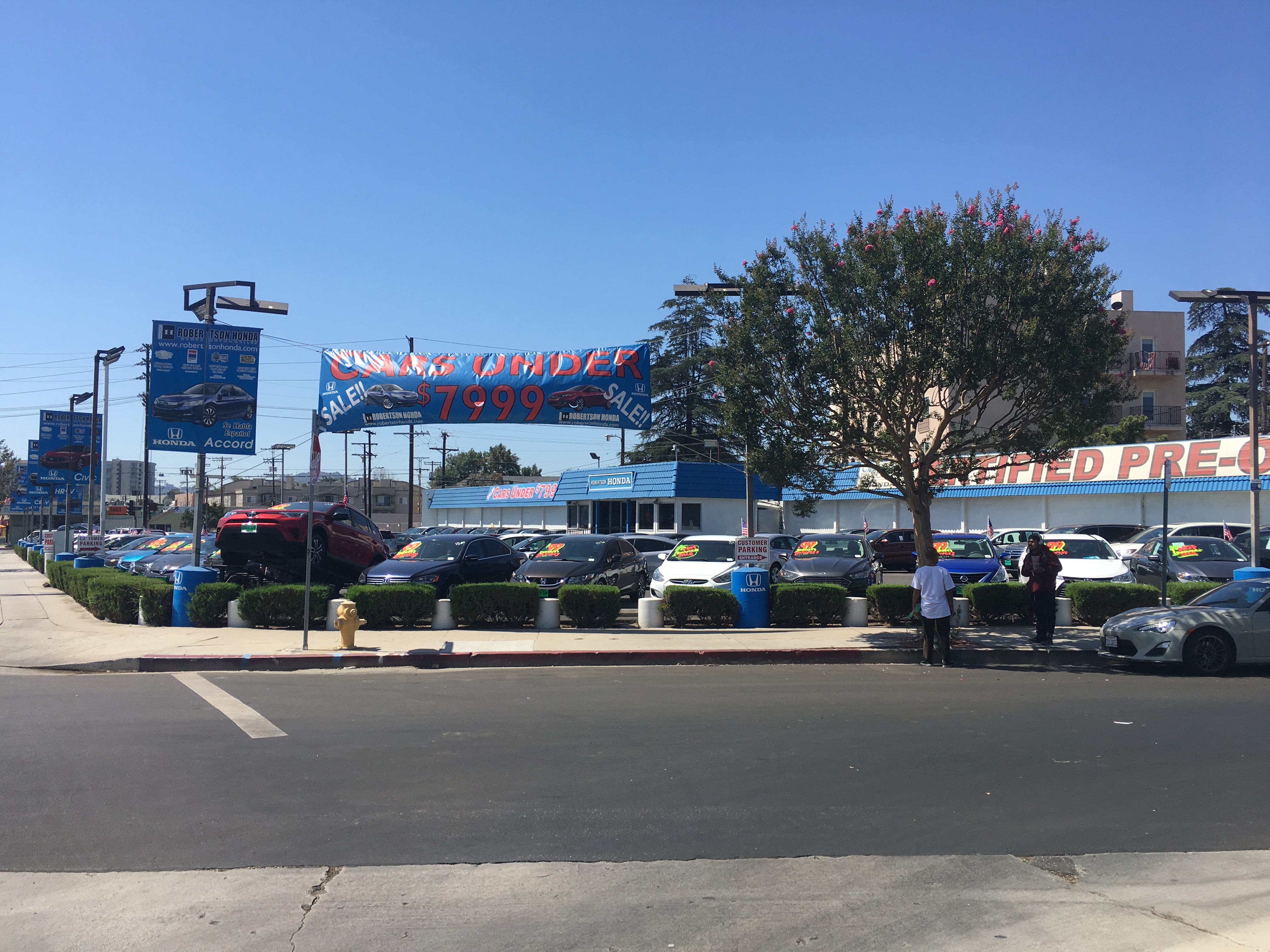 Ocean Honda of North Hollywood Photo