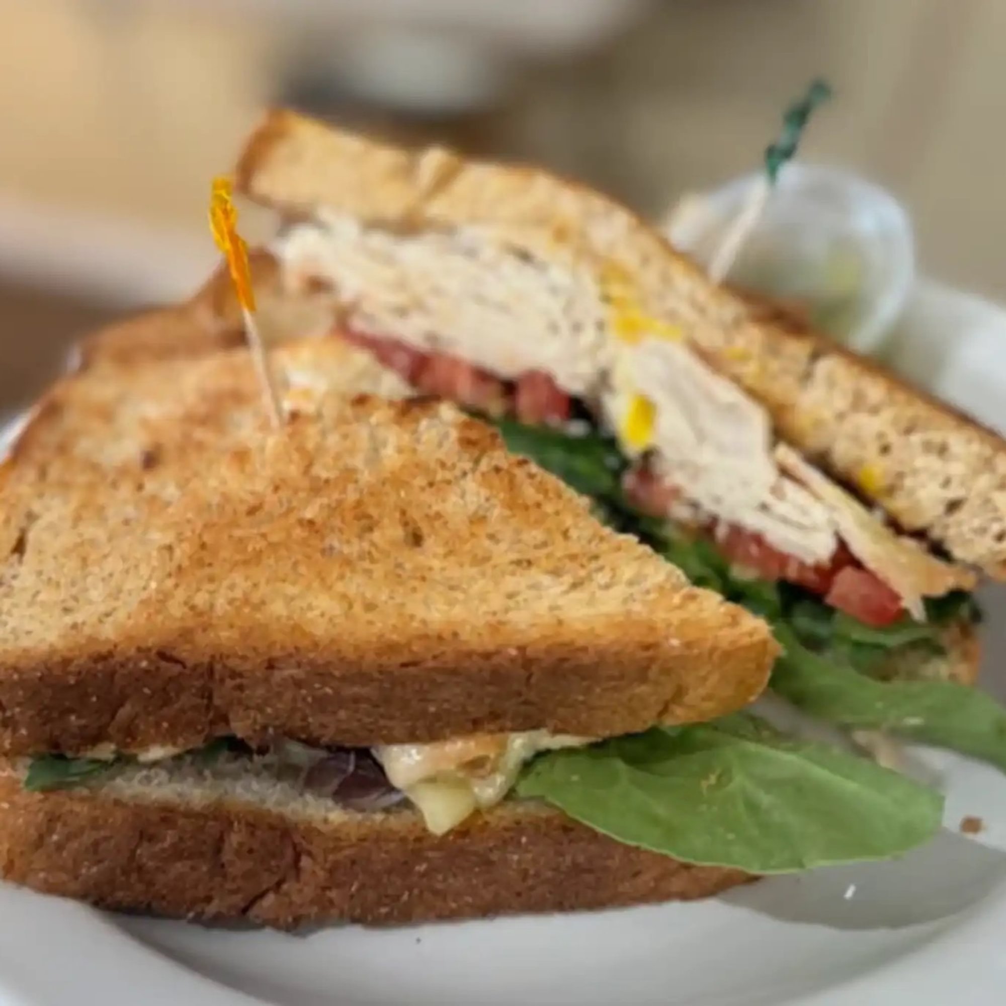 Turkey and Cheese Sandwich