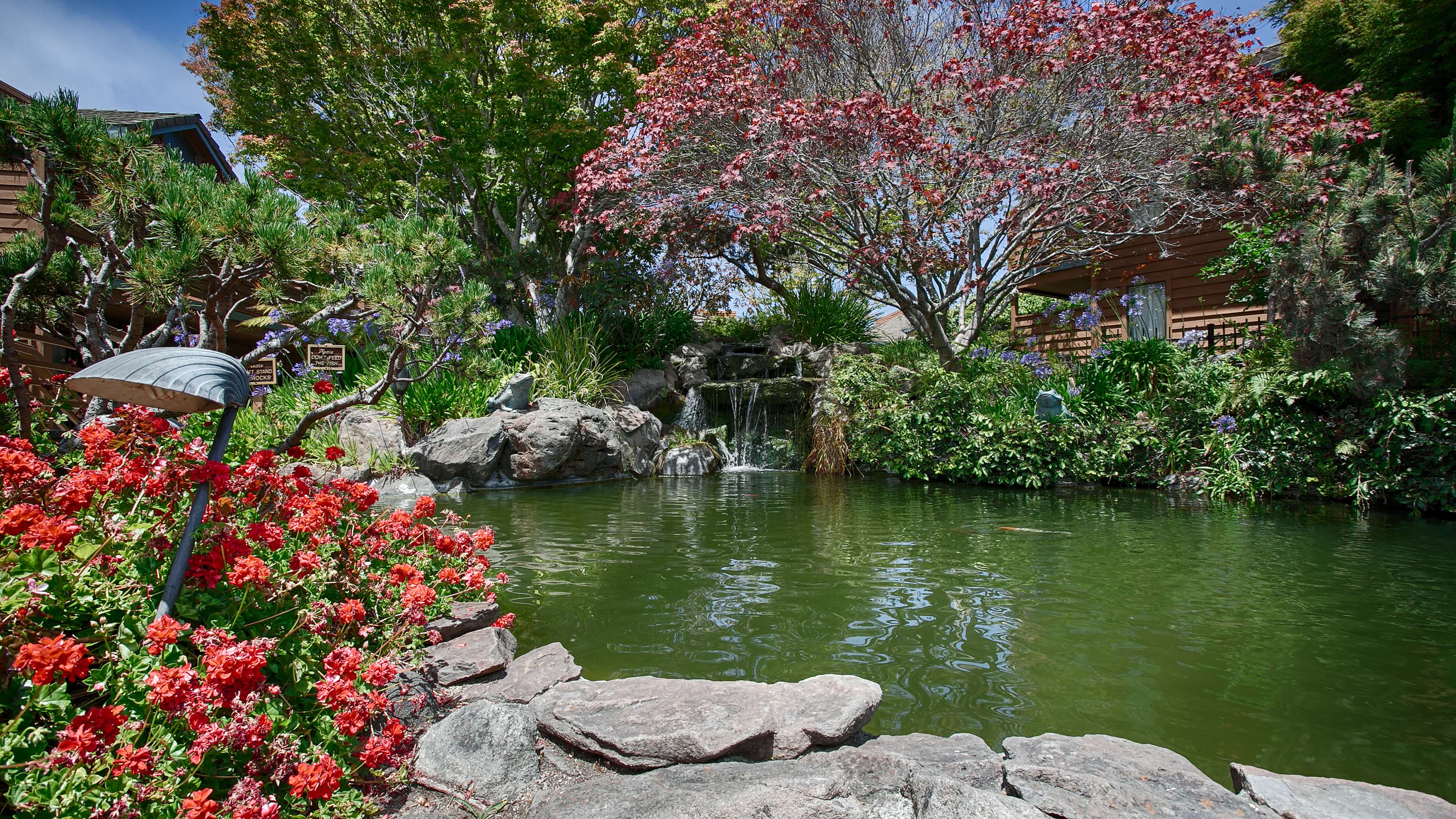 Best Western Seacliff Inn Photo