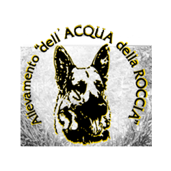 Logo di ALLEVAMENTO DEL PASTORE TEDESCO DELL'ACQUA DELLA ROCCIA