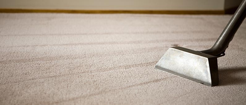Carpet Cleaning Services