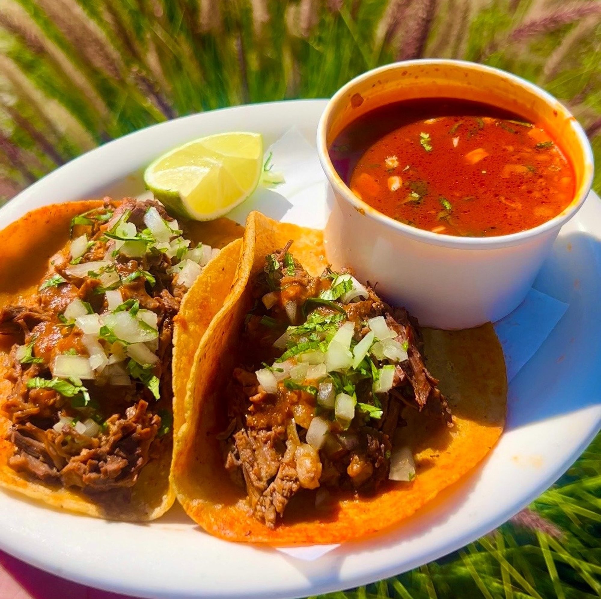 Tacos de Birria