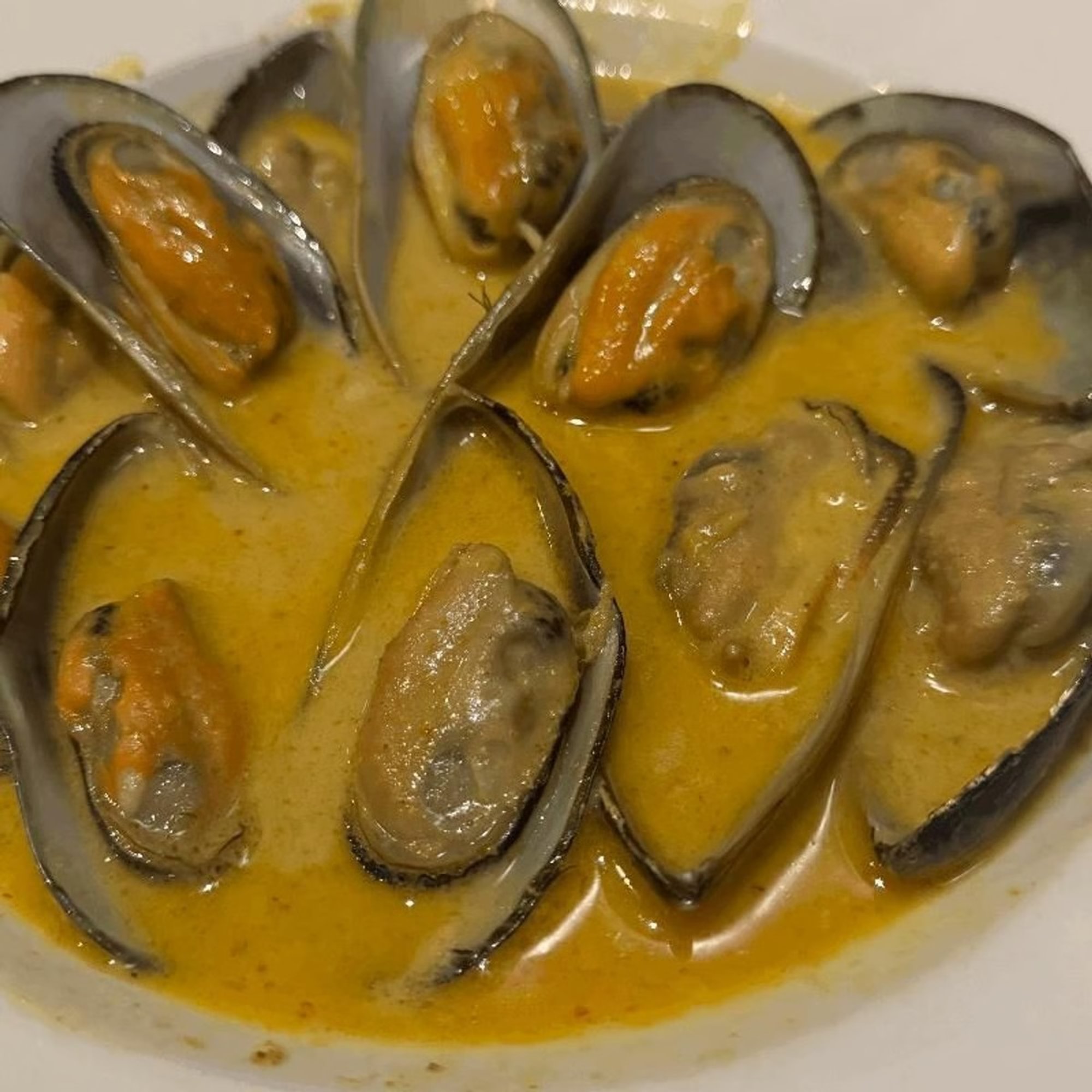 Mussels in Curry