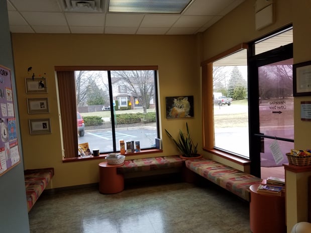 Images Cat Care PC of Rochester Hills