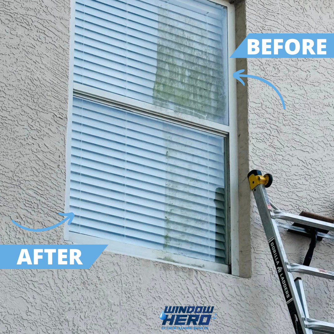 Window Hero Sarasota Image