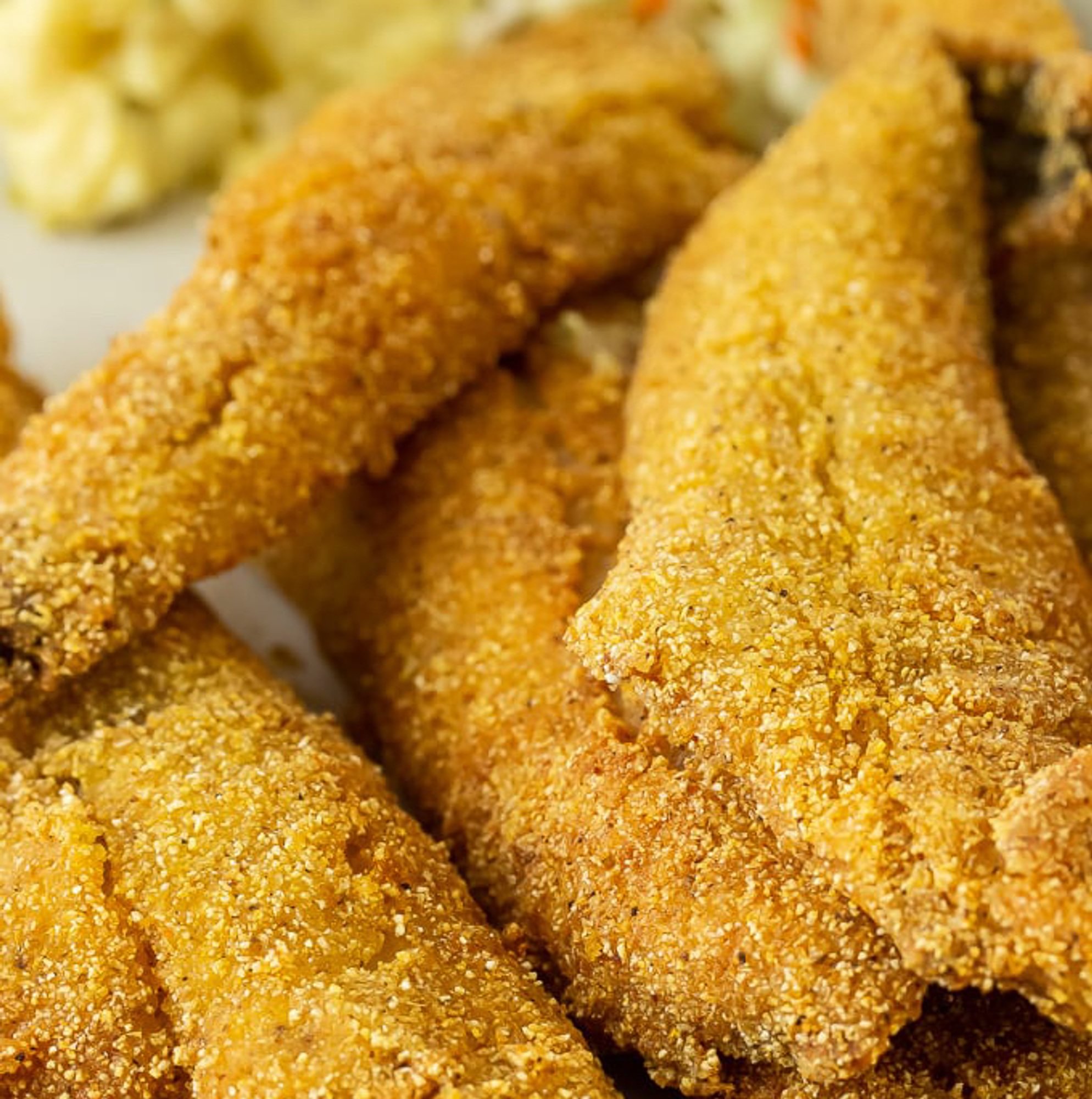 Fish 1 Piece
