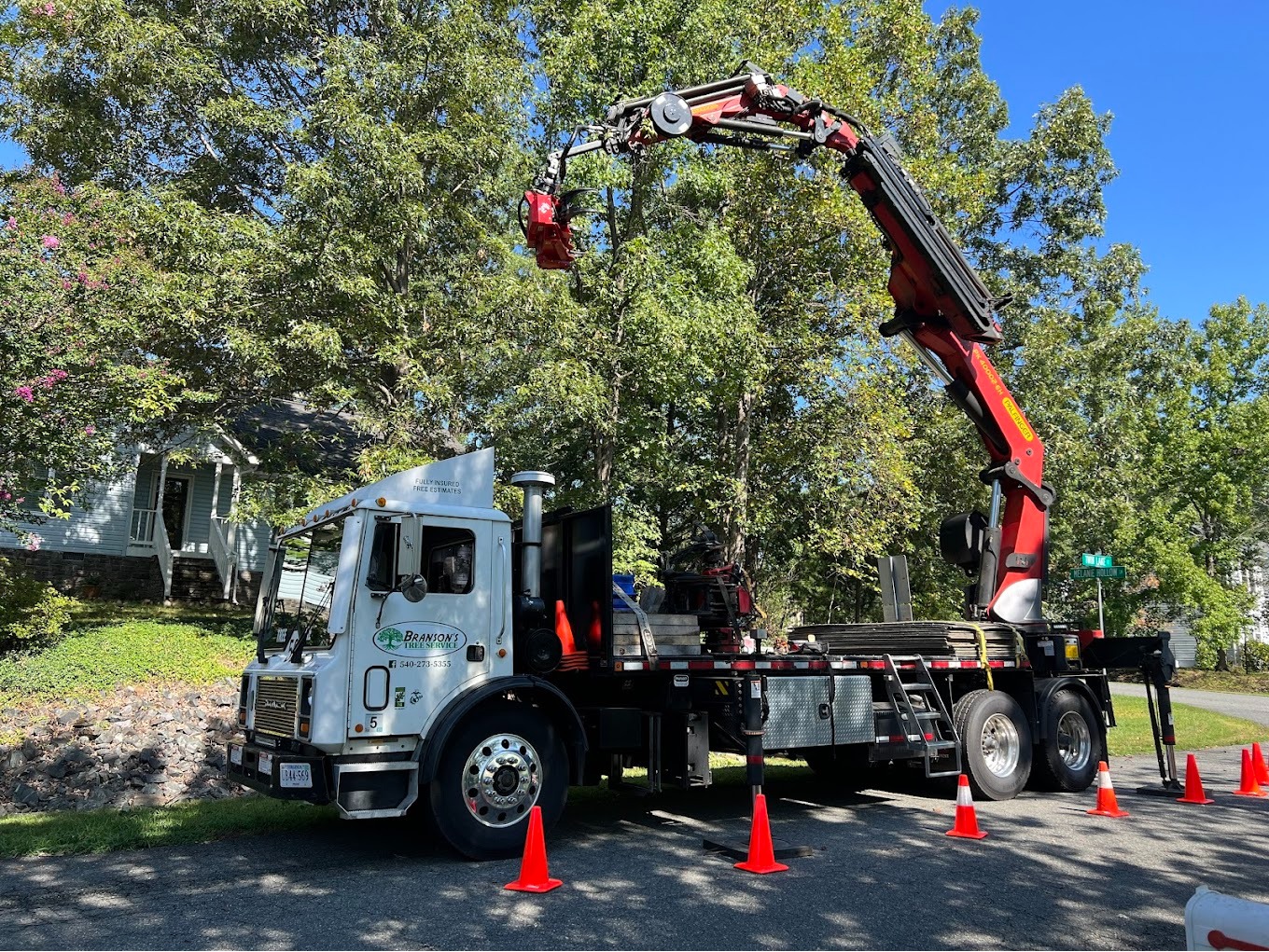 Branson's Tree Service Image