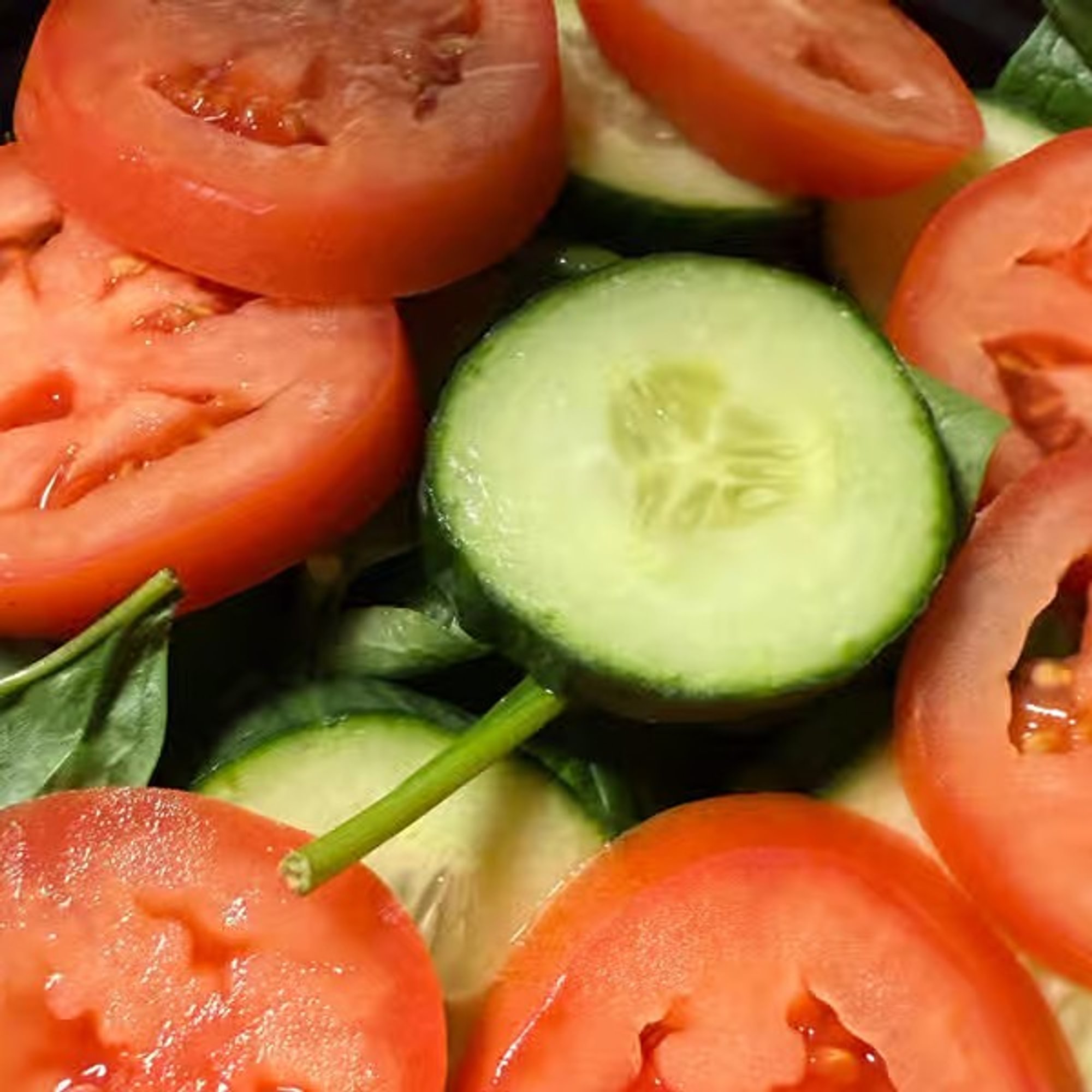 Mixed Salad