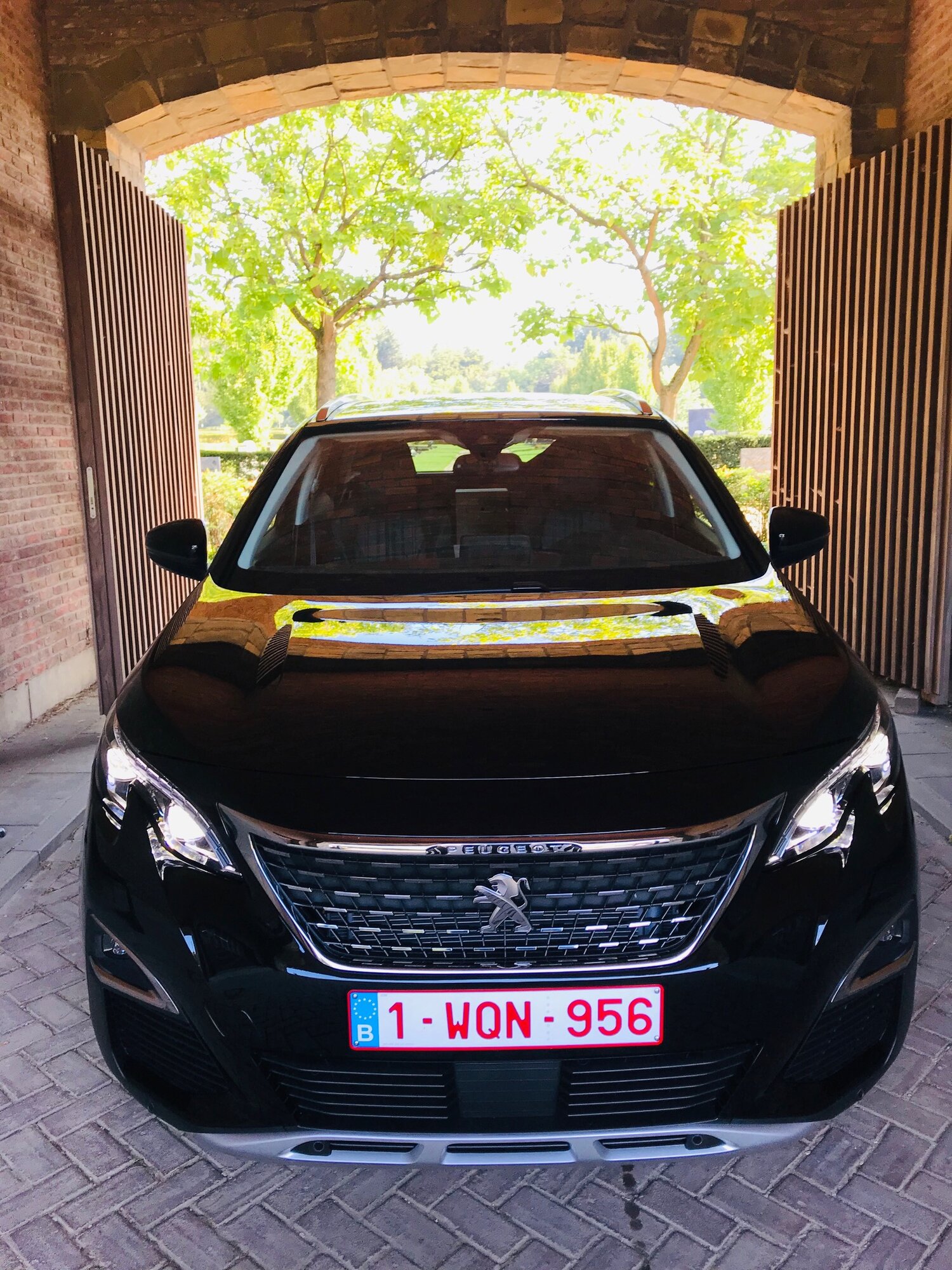 Miniature de la galerie