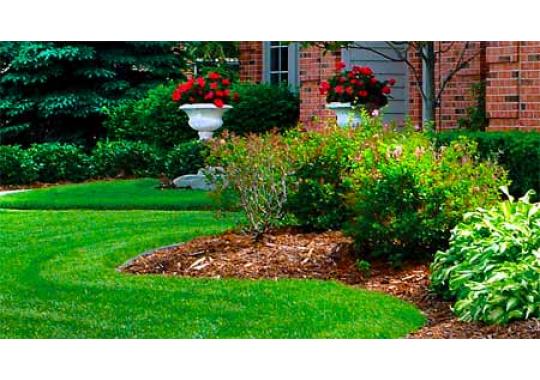 Castellanos Service Logo