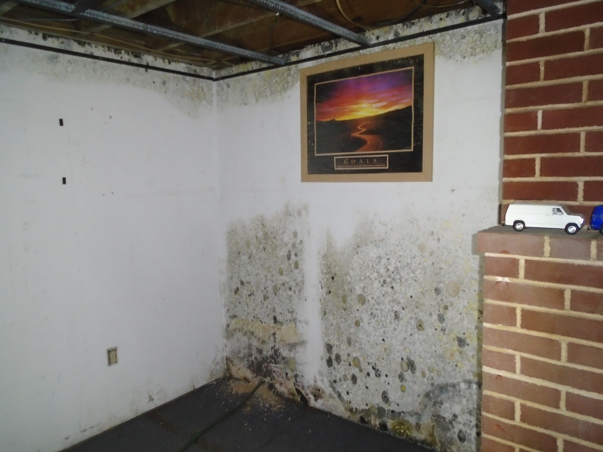 Mold Remediation