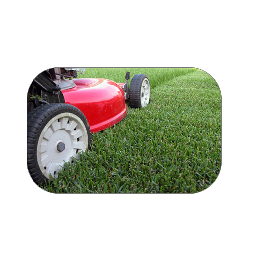 Green Carolina Landscaping Logo